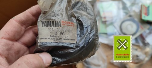 IMG_20230828_105202